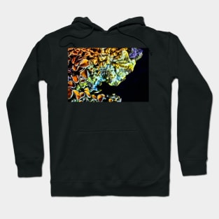 Lichen Hoodie